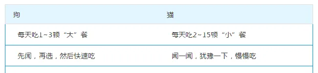 狗狗和猫咪在饮食上原来有这么多不同！ | 宠物狗饲养