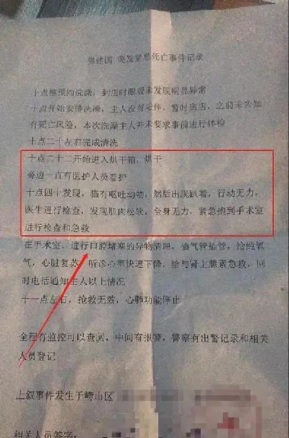 猫咪洗澡后这一步骤完全没必要！又有几只猫接连因此不幸死亡 | 宠物训练技巧