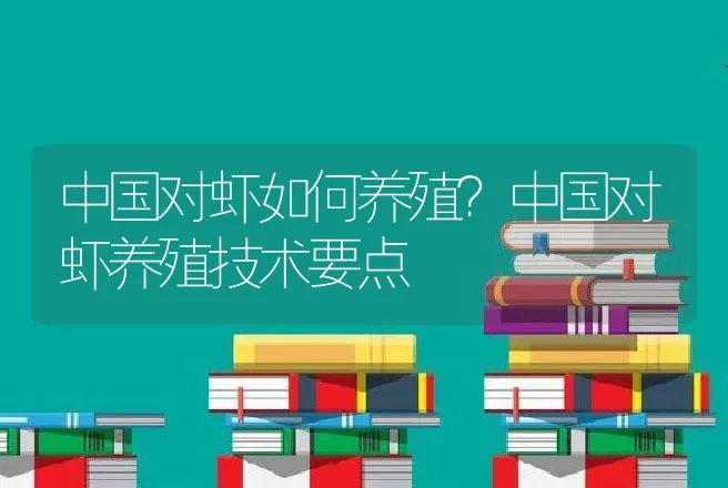 中国对虾如何养殖？中国对虾养殖技术要点 | 水产知识