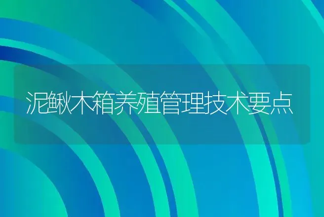 泥鳅木箱养殖管理技术要点 | 动物养殖