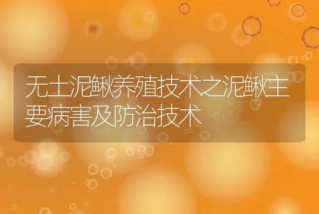 无土泥鳅养殖技术之泥鳅主要病害及防治技术 | 水产知识