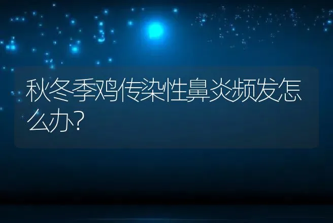 秋冬季鸡传染性鼻炎频发怎么办？ | 兽医知识大全