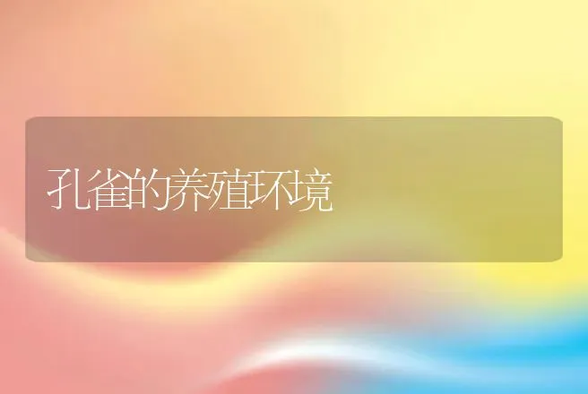 孔雀的养殖环境 | 特种养殖