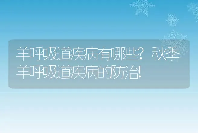 羊呼吸道疾病有哪些?秋季羊呼吸道疾病的防治! | 兽医知识大全