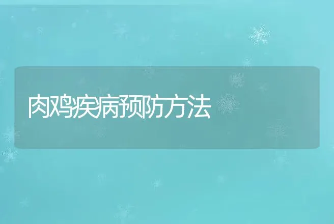 肉鸡疾病预防方法 | 动物养殖