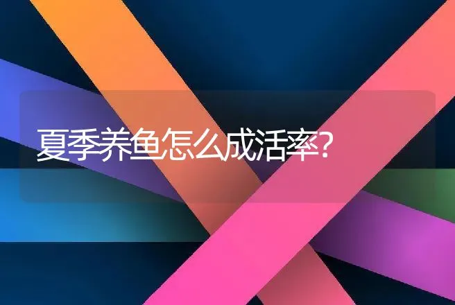 夏季养鱼怎么成活率？ | 水产知识