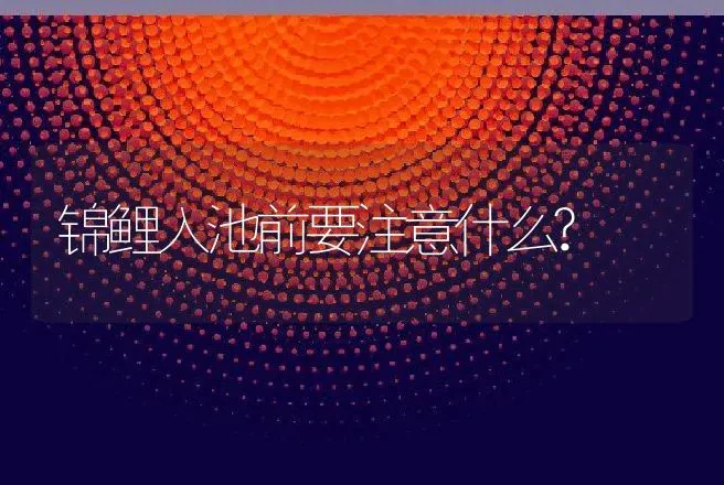 锦鲤入池前要注意什么? | 动物养殖