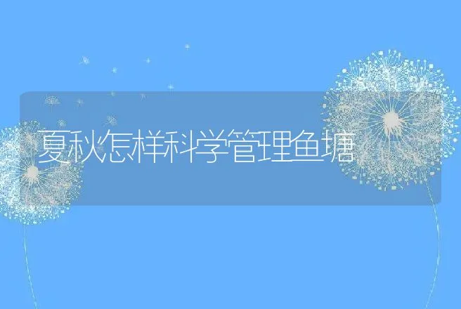 夏秋怎样科学管理鱼塘 | 动物养殖