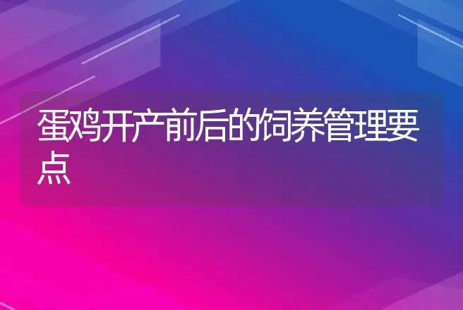 蛋鸡开产前后的饲养管理要点 | 动物养殖