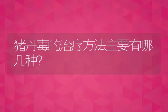 猪丹毒的治疗方法主要有哪几种？ | 兽医知识大全