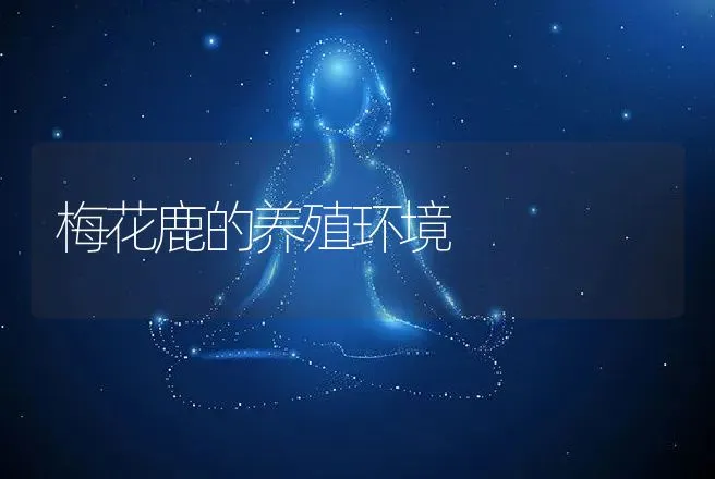 梅花鹿的养殖环境 | 特种养殖