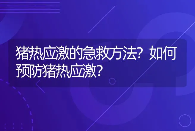 猪热应激的急救方法？如何预防猪热应激？ | 兽医知识大全