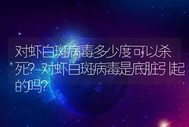 对虾白斑病毒多少度可以杀死？对虾白斑病毒是底脏引起的吗？ | 兽医知识大全