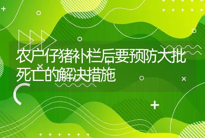 农户仔猪补栏后要预防大批死亡的解决措施 | 动物养殖