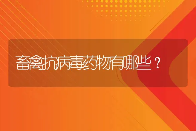 畜禽抗病毒药物有哪些？ | 兽医知识大全