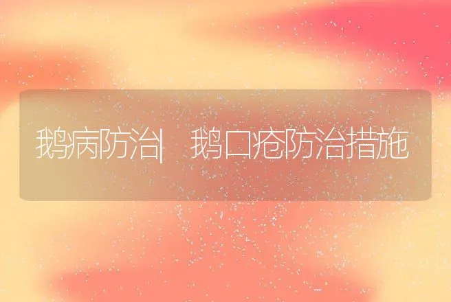 鹅病防治|鹅口疮防治措施 | 家禽养殖