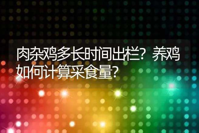 肉杂鸡多长时间出栏？养鸡如何计算采食量？ | 家禽养殖