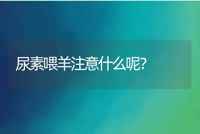 尿素喂羊注意什么呢？ | 动物养殖