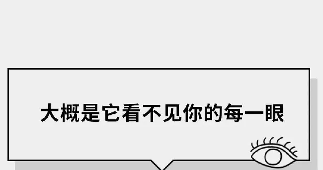 在猫咪的眼里，它们是如何理解离别的？ | 宠物猫饲养