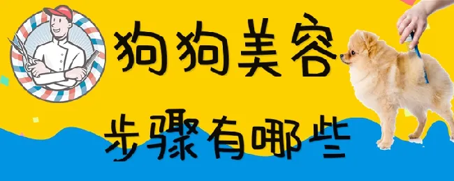 狗狗美容步骤有哪些 | 宠物病虫害防治