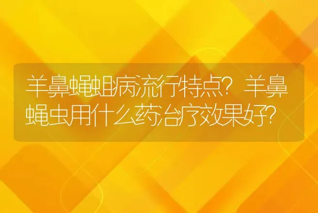 羊鼻蝇蛆病流行特点？羊鼻蝇虫用什么药治疗效果好？ | 兽医知识大全