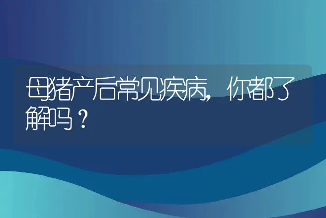 母猪产后常见疾病，你都了解吗？ | 家畜养殖