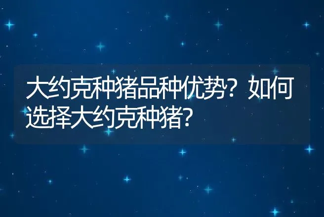 大约克种猪品种优势？如何选择大约克种猪？ | 动物养殖