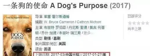 《忠犬八公》的导演回归了，请准备好眼泪和纸巾 | 宠物新闻资讯