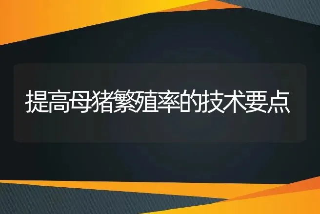 怎样防治猪运输应激综合征 | 动物养殖