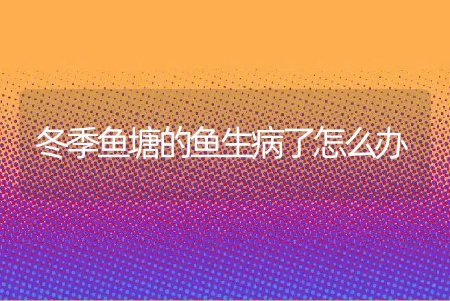 冬季鱼塘的鱼生病了怎么办 | 水产知识