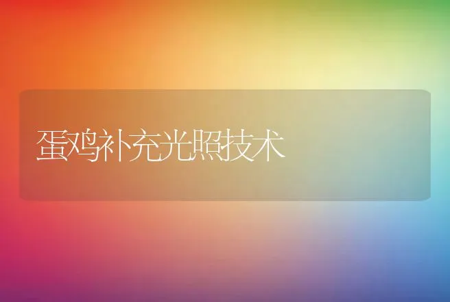 蛋鸡补充光照技术 | 动物养殖