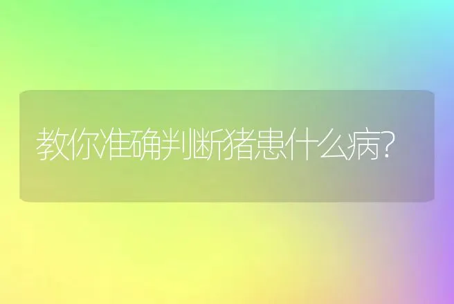 教你准确判断猪患什么病？ | 兽医知识大全