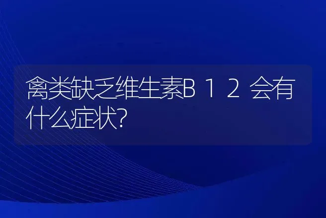 禽类缺乏维生素B12会有什么症状？ | 兽医知识大全