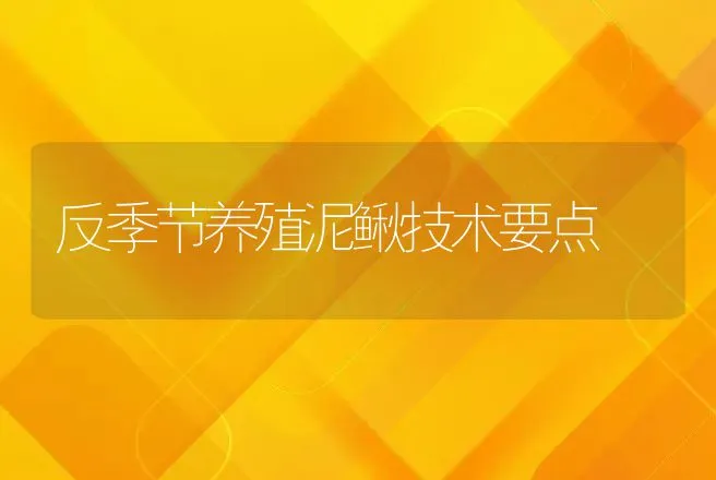 反季节养殖泥鳅技术要点 | 特种养殖