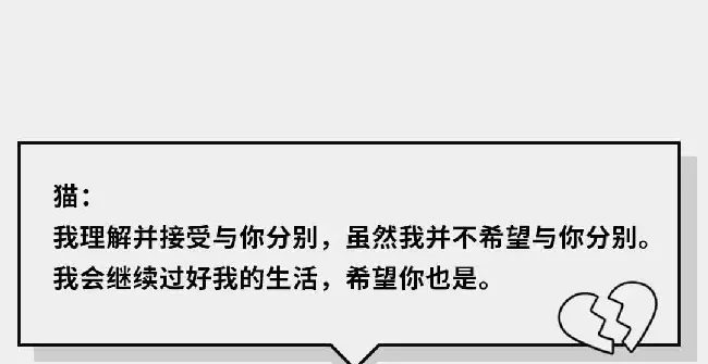 在猫咪的眼里，它们是如何理解离别的？ | 宠物猫饲养