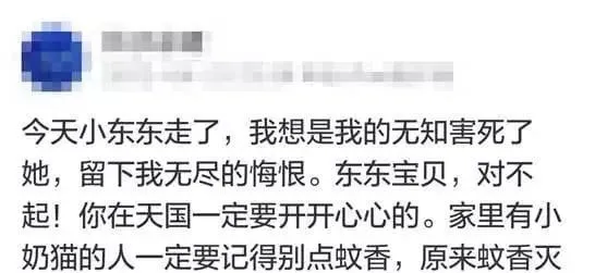 驱蚊产品会害死猫猫?真相是这样的~ | 宠物猫病虫害防治