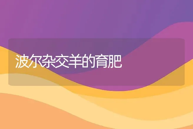 波尔杂交羊的育肥 | 动物养殖