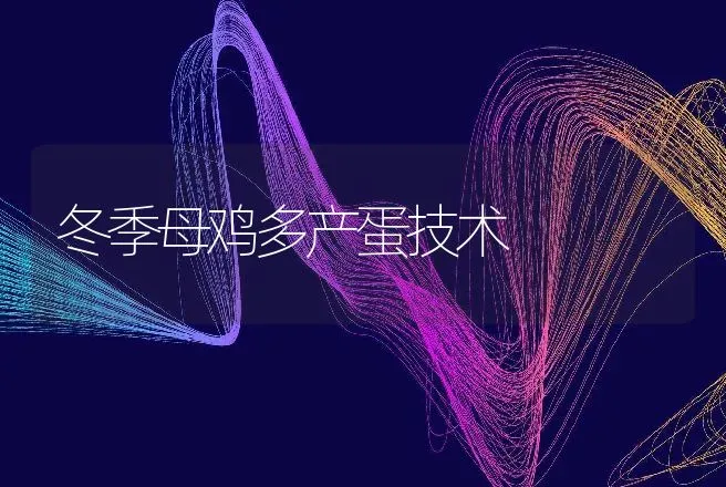 冬季母鸡多产蛋技术 | 动物养殖