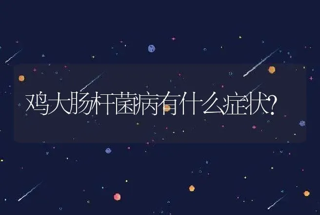 鸡大肠杆菌病有什么症状? | 兽医知识大全