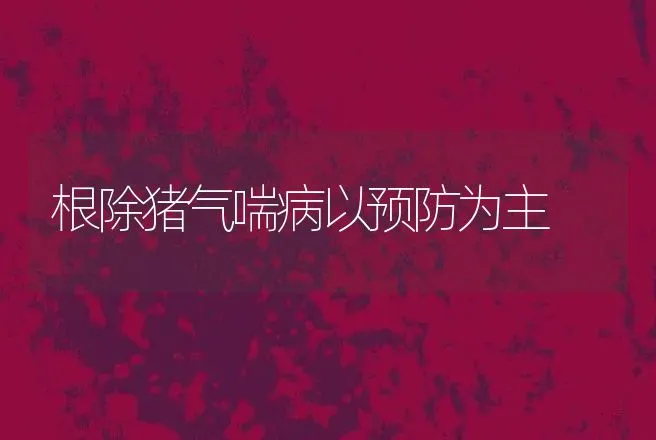 根除猪气喘病以预防为主 | 动物养殖