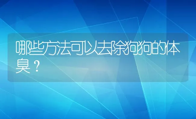 哪些方法可以去除狗狗的体臭？ | 宠物猫