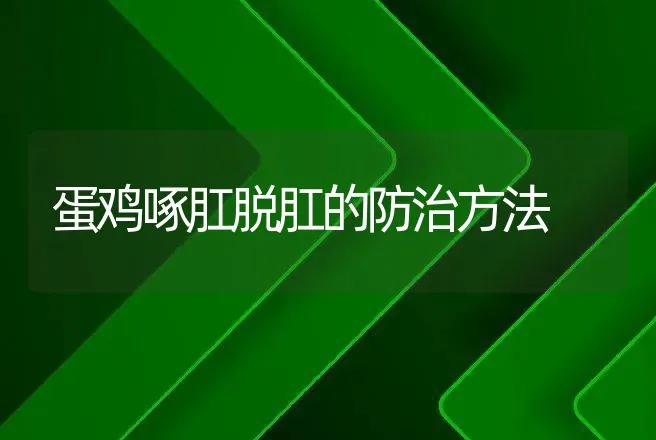 蛋鸡啄肛脱肛的防治方法 | 兽医知识大全