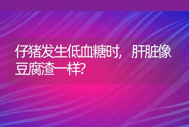 仔猪发生低血糖时,肝脏像豆腐渣一样? | 动物养殖