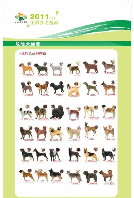 2016最新广州36种禁养犬名单 | 宠物政策法规