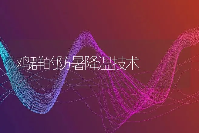 鸡群的防暑降温技术 | 动物养殖