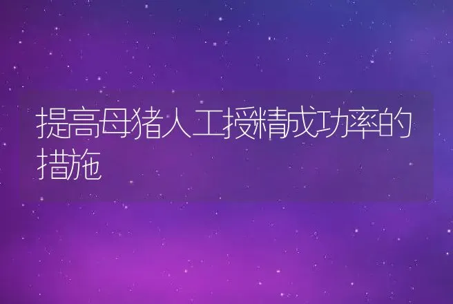 提高母猪人工授精成功率的措施 | 动物养殖