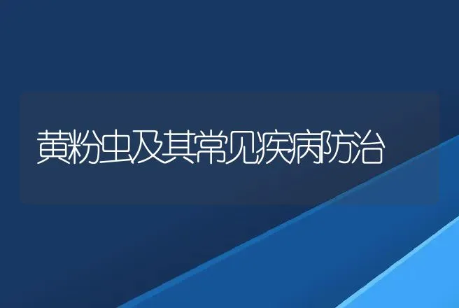 黄粉虫及其常见疾病防治 | 动物养殖