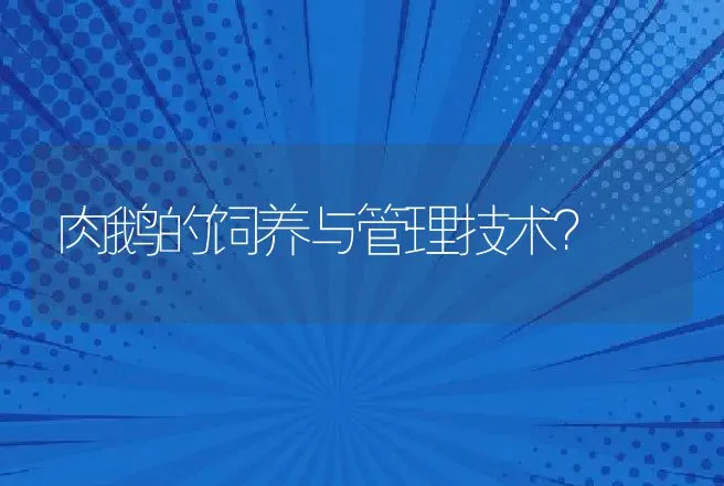 肉鹅的饲养与管理技术？ | 家禽养殖