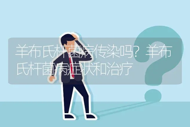 羊布氏杆菌病传染吗？羊布氏杆菌病症状和治疗 | 兽医知识大全