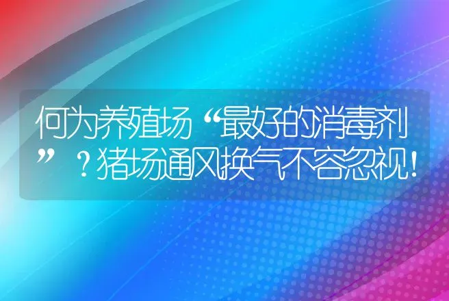 何为养殖场“最好的消毒剂”？猪场通风换气不容忽视！ | 家畜养殖